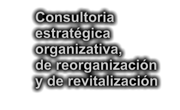 Consultoria estratgica organizativa, de reorganizacin  y de revitalizacin