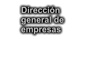 Direccin  general de empresas